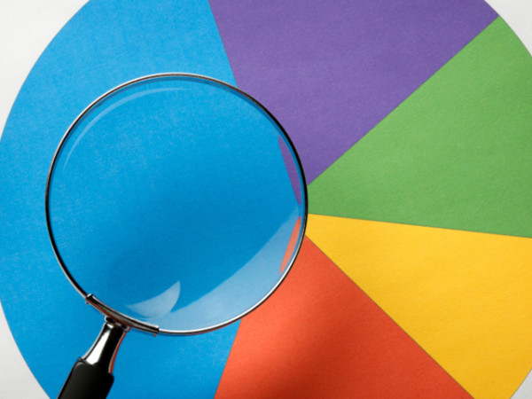 Fraud Lawyer Inspecting A Pie Chart Image - Fishman Legal